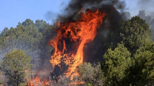 Forest Service says it started all of New Mexico’s largest wildfire