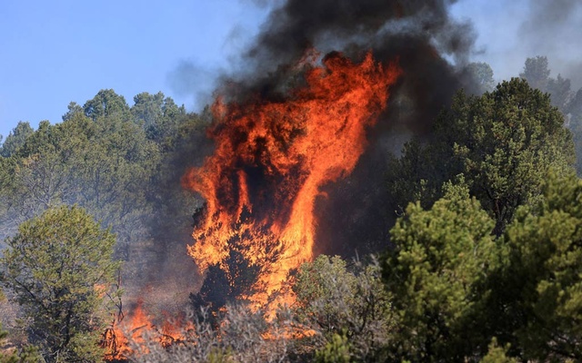 Forest Service says it started all of New Mexico’s largest wildfire