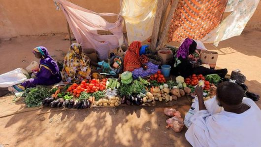 Sudanese farmers warn of failing harvests as hunger rises