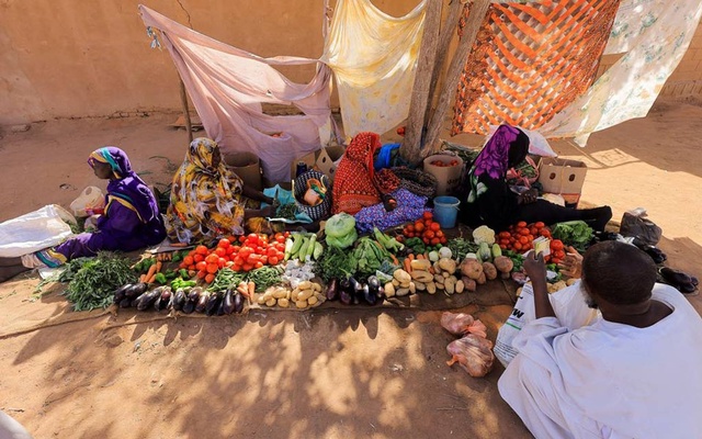 Sudanese farmers warn of failing harvests as hunger rises